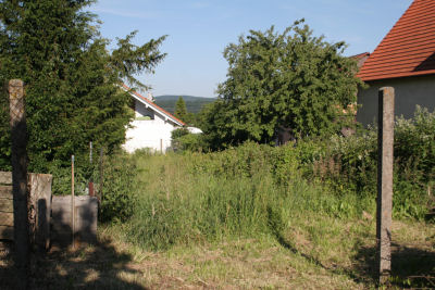 Vom Gartenhaus richtung Strasse