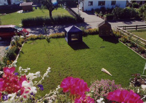 Wiese 2003