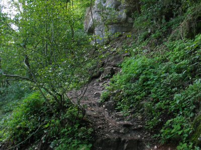 Weg zur Höhle