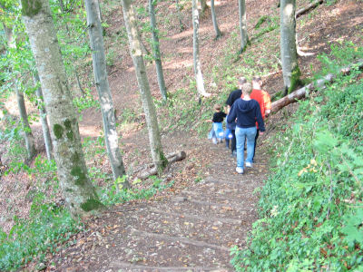 Weg zur Schillerhöhle