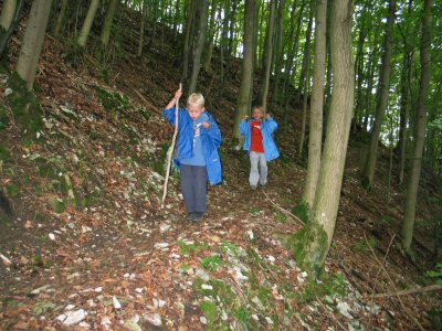 Waldweg