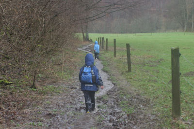 Rückweg Brühltal