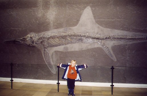 Ichthyosaurus